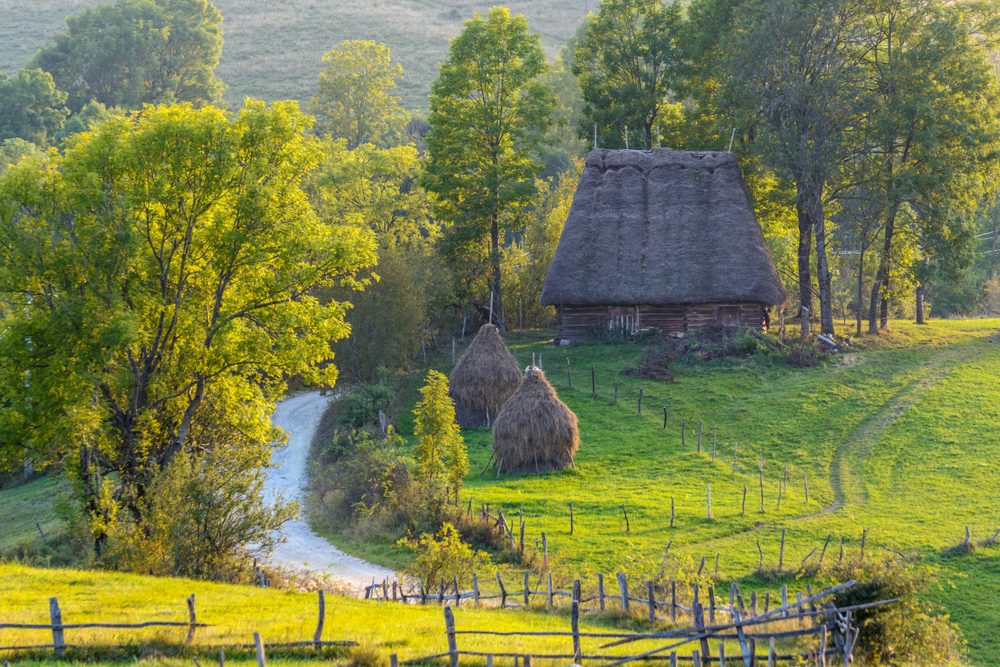 Casă tradițională din Apuseni