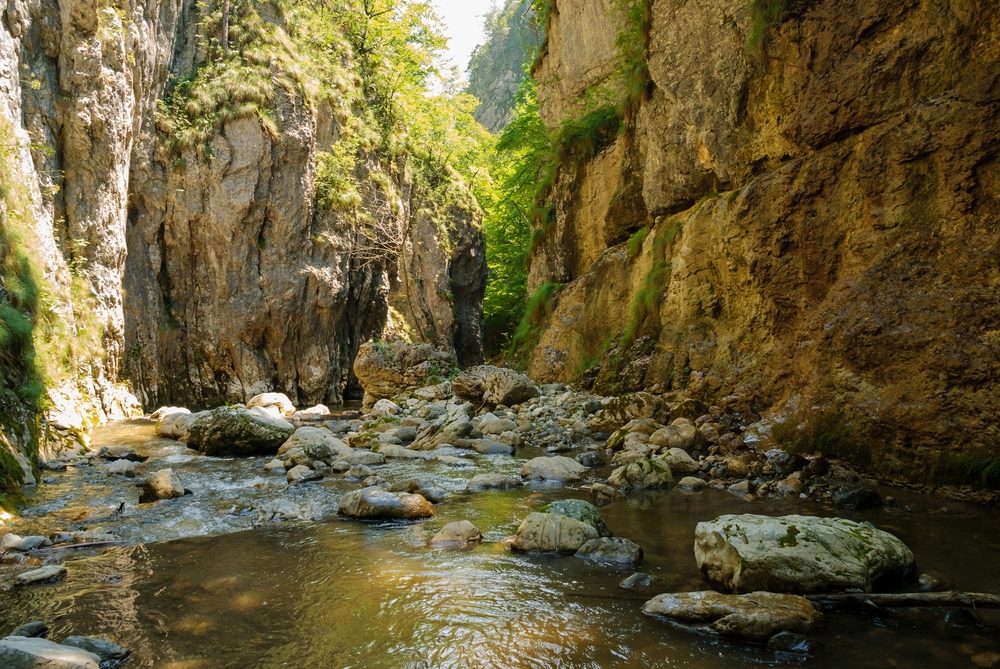 The Rhine Gorges