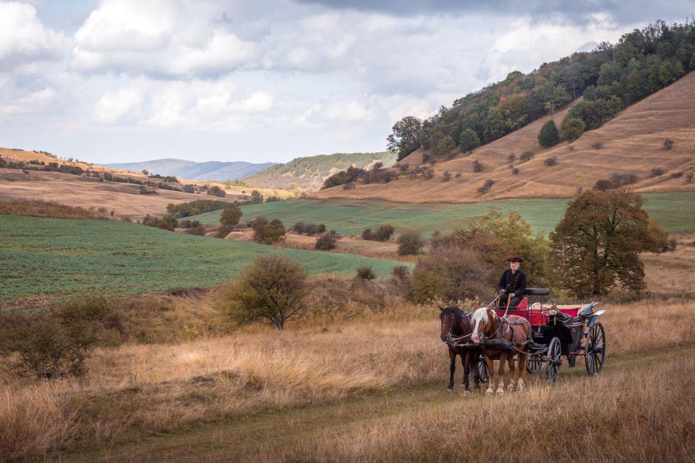 Itinerariu special în Transilvania - Valea Verde Retreat